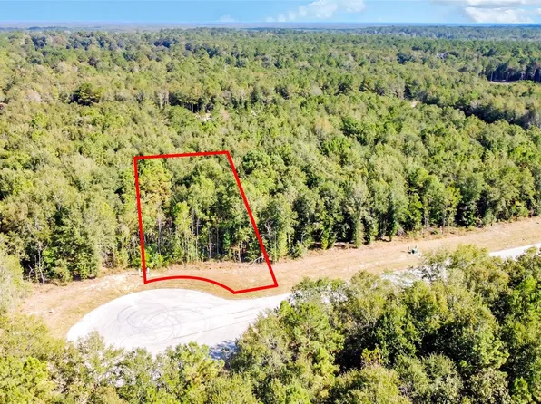 1524 Road 66119, Dayton, TX 77535