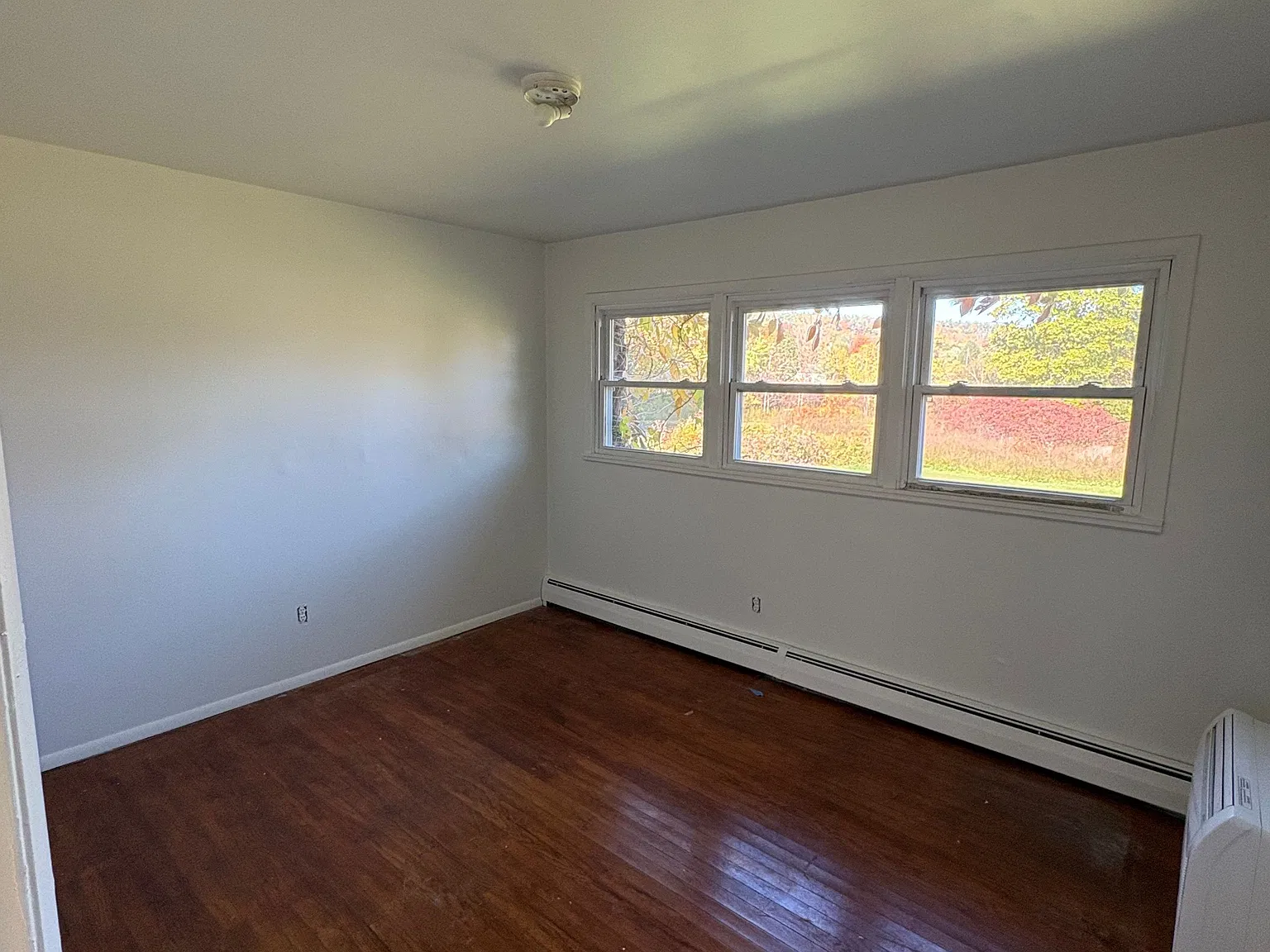 2 bed, 1.0 bath, 950 sqft, $1,900 — Photo 3