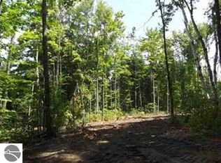 0 Lee Derrer Rd, Mancelona, MI 49659