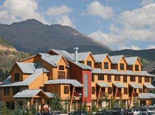 500 S Park Ave #202, Breckenridge, CO 80424
