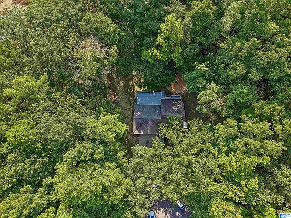 3rd image of 1017 Burnt Pine Ln