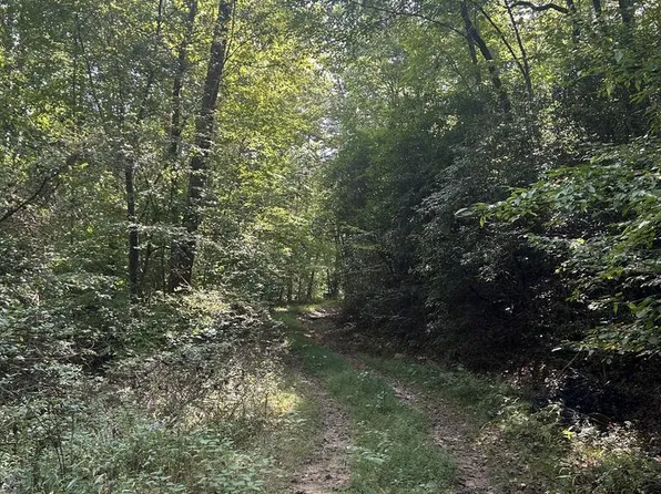 Township Road 5 Mountain Pass Dr, Hayesville, NC 28904