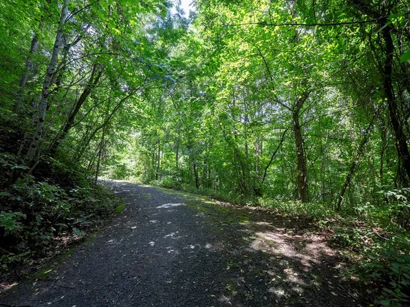 0 E Buffalo, Robbinsville, NC 28771