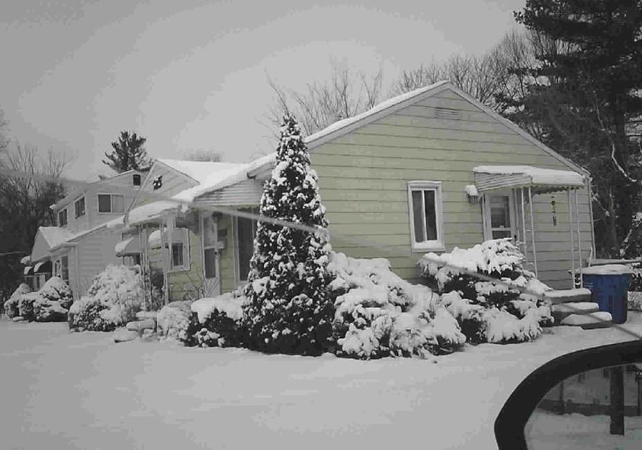 Property Rear View