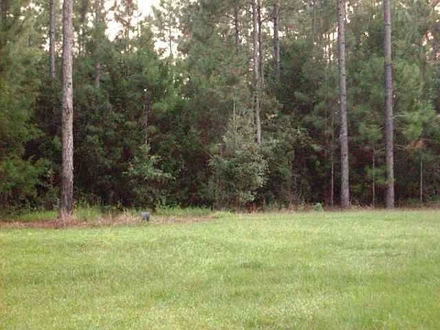 2nd image of 6800 Blk Pine Forest Rd