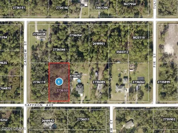 0 Saffron Ave, Eustis, FL 32736