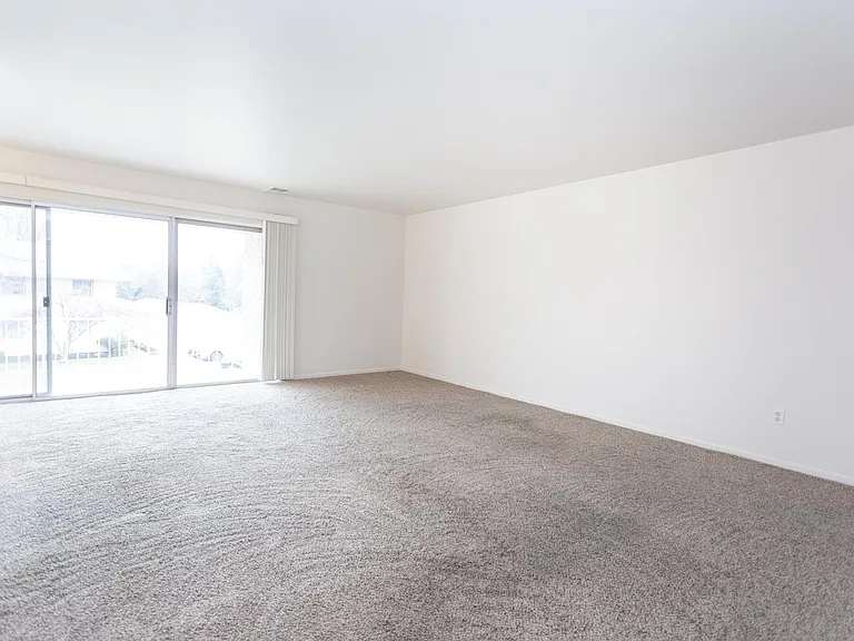 902 Birch Tree Ln — Photo 12