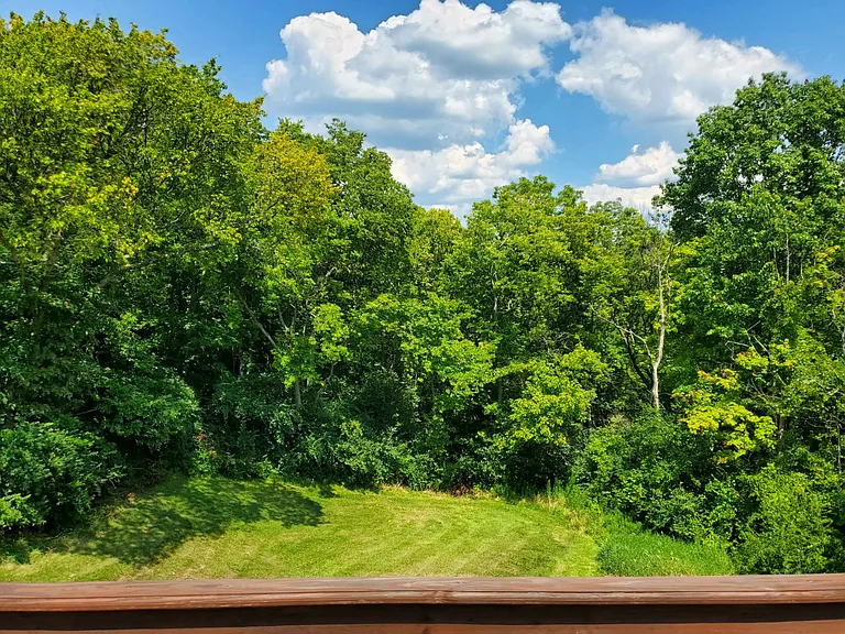3532 Wolf Rd — Photo 10
