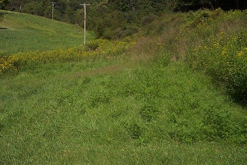 1st image of 7127 Gauley Tpke