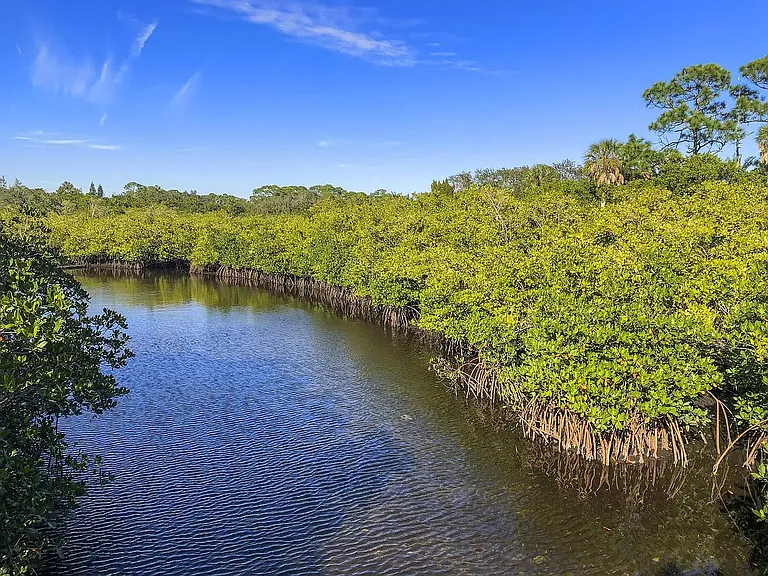 5528 River Sound Ter — Photo 24