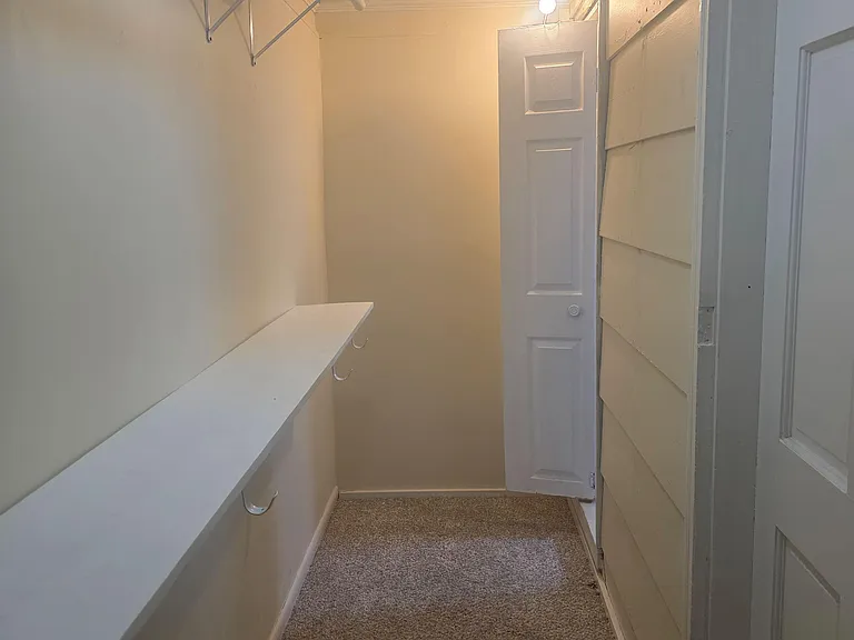 Carpeted storage/utility area with built-in shelving and an overhead hanging rod for organized everyday essentials.