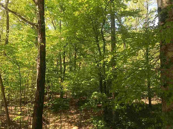 2nd image of 0 Huckleberry Ln