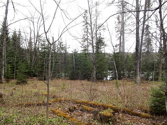 2nd image of ON E PORCUPINE LAKE RD Lot