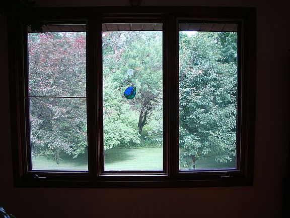 view from dining room 