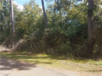 33030 Lower Rome Rd, Springfield, LA, 70462
