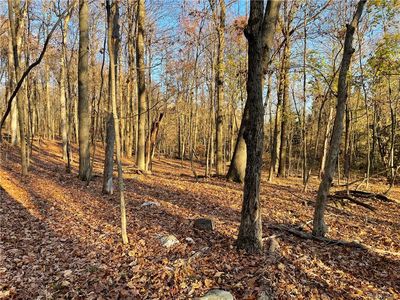 Oak Summit Rd, Millbrook, NY, 12545