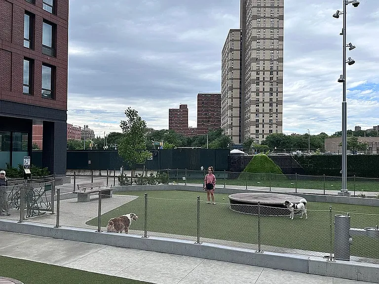 550 Vanderbilt Ave #210 — Photo 30