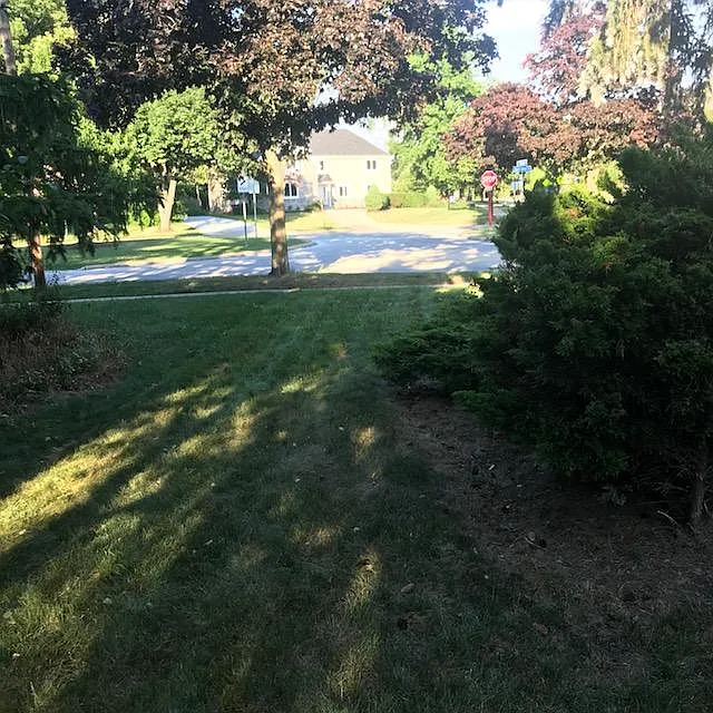 24113 E Silsby Rd photo 1