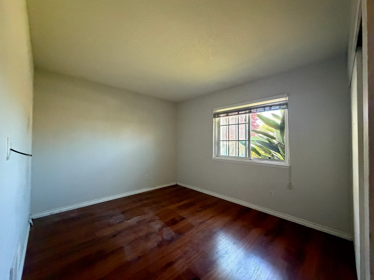 4 bed, 1172 sqft, $3,800 — Photo 4