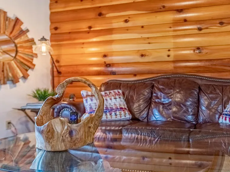 810 Cabin Creek Way — Photo 5