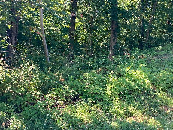 3rd image of LOT 103 Stone Bridge Dr