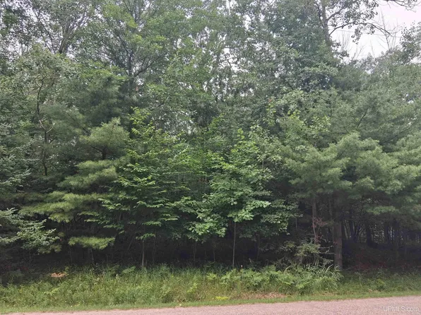 Hill St, Vulcan, MI 49892