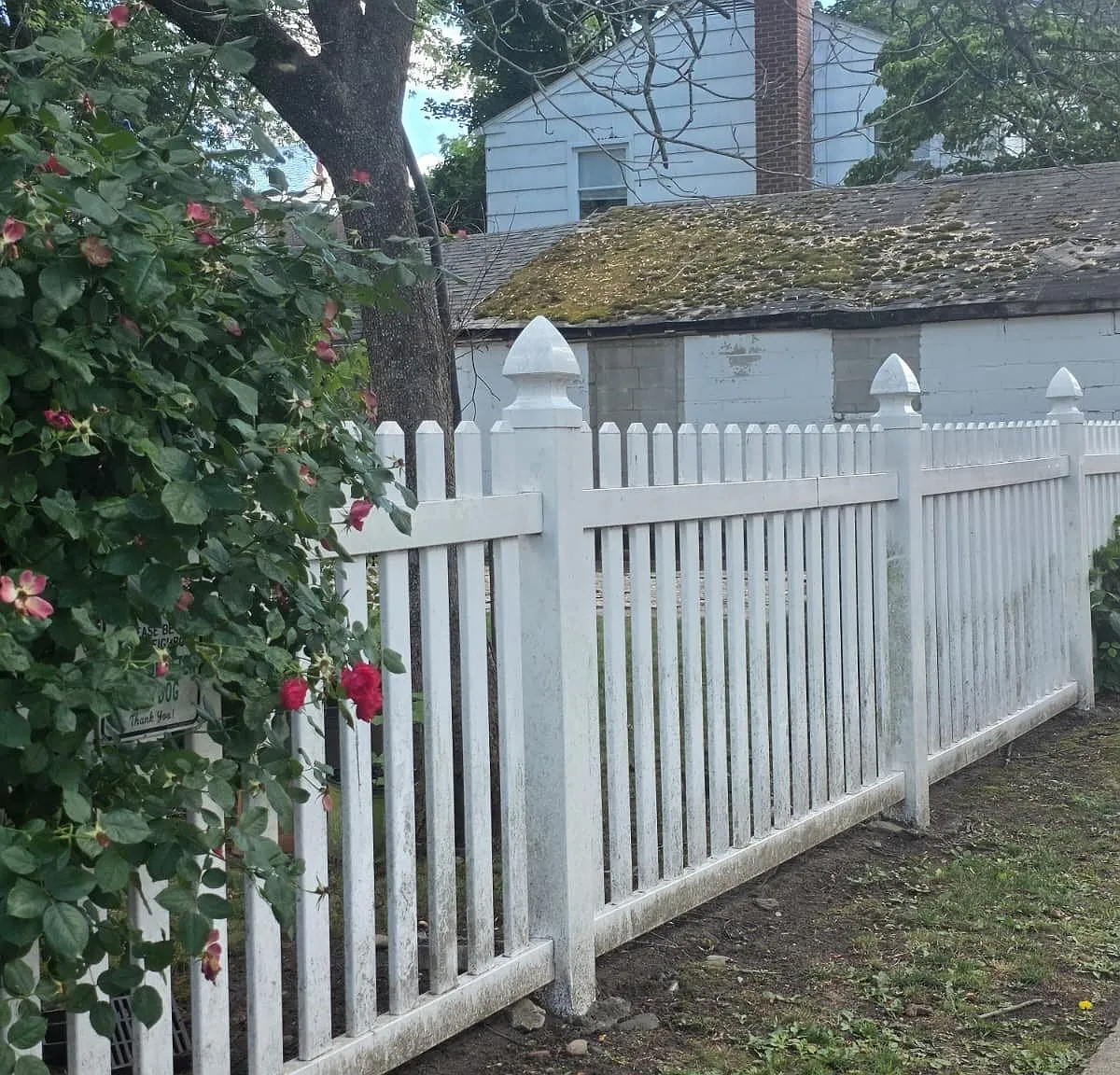1 bed, 1.0 bath, $3,350 — Photo 4