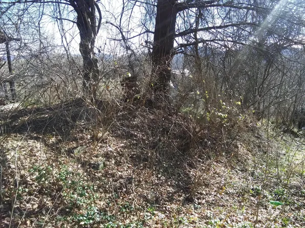 Tbd Perryville Rd, Saltville, VA 24370