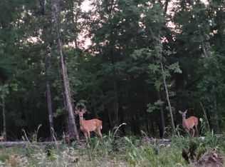 Tract 4 Private Drive 2336, Norwood, MO 65717