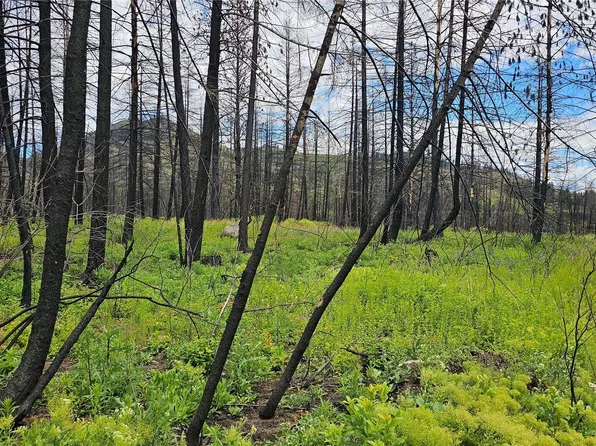 34 XX Lael-Flat Creek Road, Kettle Falls, WA 99141
