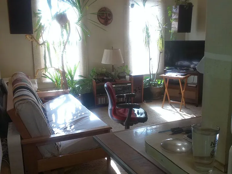134 Bassett St #2 — Photo 5