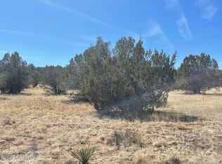 51765 N Cisne Cir, Seligman, AZ --