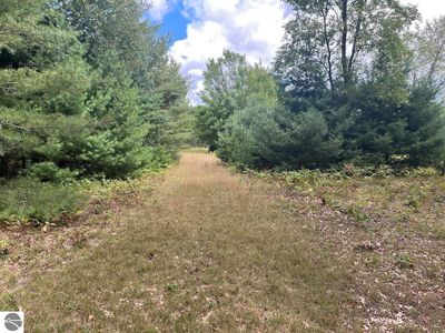 0 Plant Rd, Whittemore, MI, 48770
