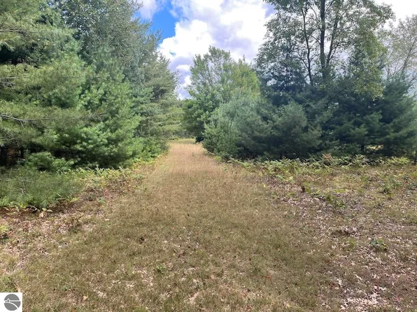 0 Plant Rd, Whittemore, MI 48770