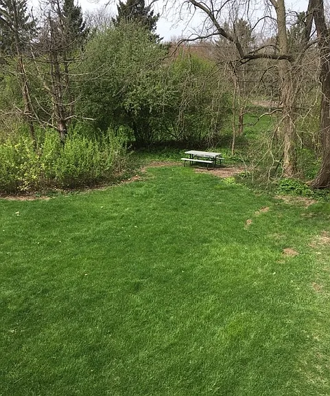 422 Rushmore Ln #1 — Photo 23