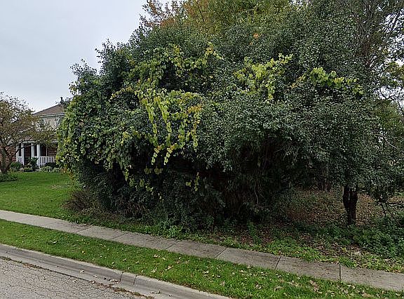 2nd image of 122 S Pershing Ave