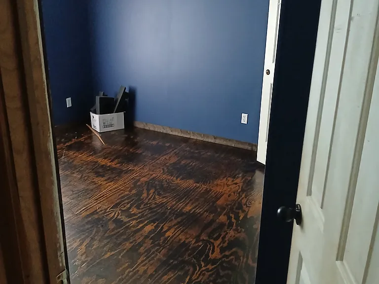 30 Sweetgum Dr — Photo 11