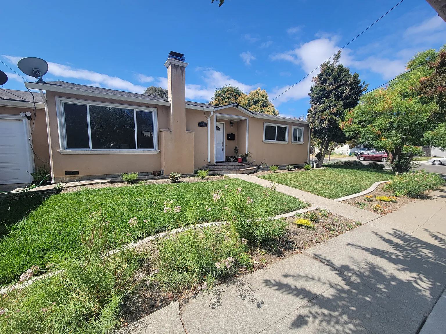 35411 Orleans Dr photo 1