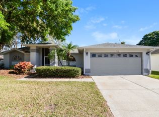 3512 Concho Ct, Ruskin, FL 33573