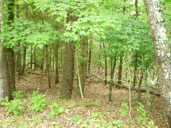 180 Stuart Dr, Basye, VA 22810