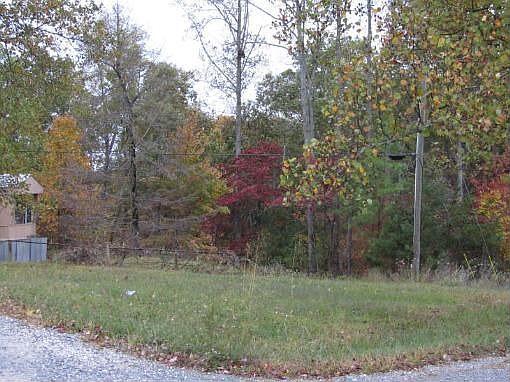 2nd image of 1256 Orchard Rd