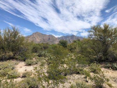 N Paseo Del Norte #2, Tucson, AZ, 85704