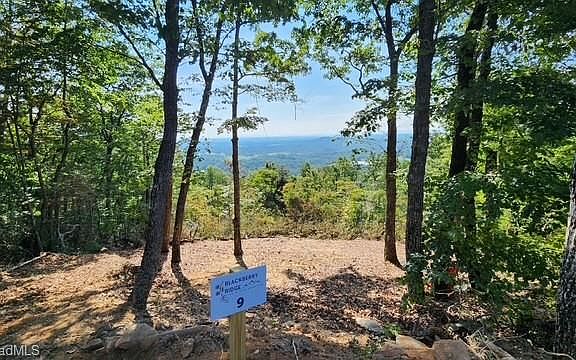 3rd image of LOT 9 Widow Mountain Dr Lot 9