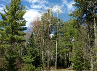 W Bearskull Rd, Park Falls, WI 54552