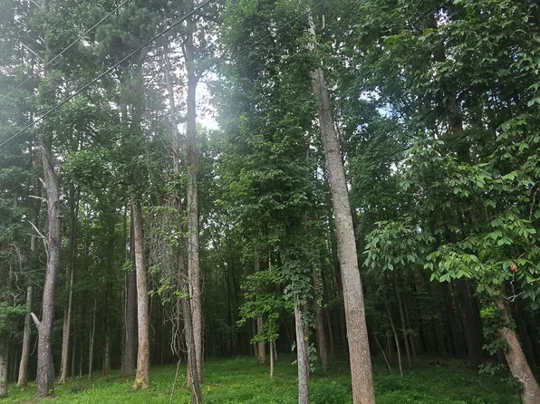 6147 Little Ridge Rd, Acworth, GA 30102