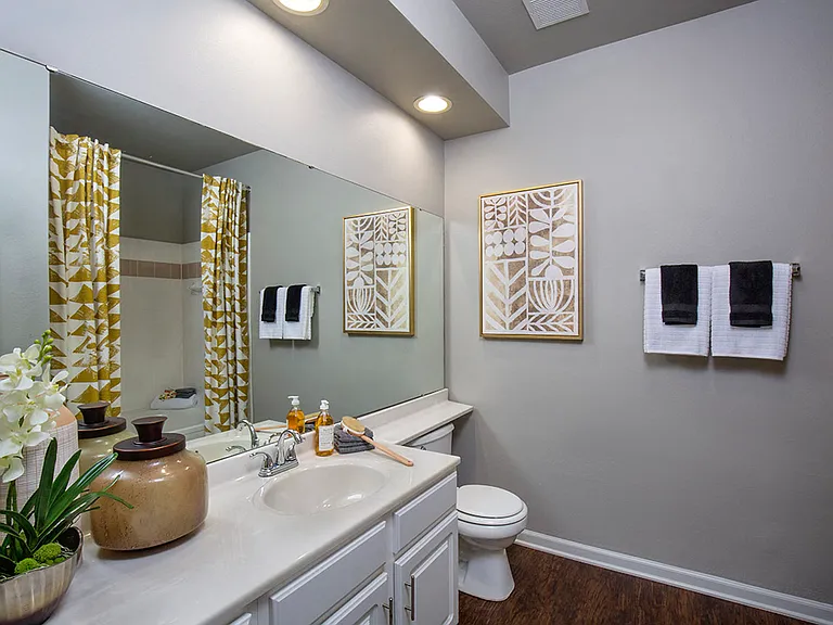 Bathroom with large vanity