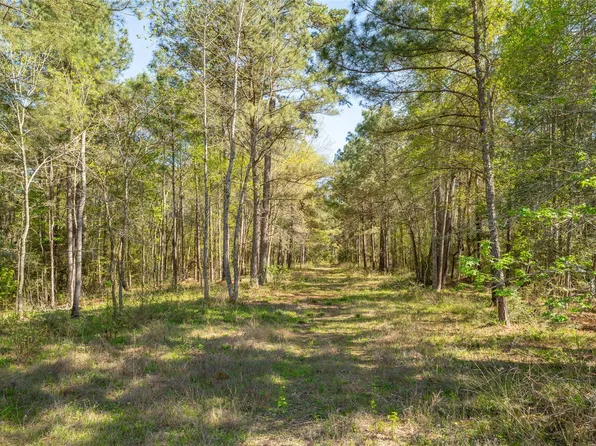 0 Bighorn Rd, Huntsville, TX 77340