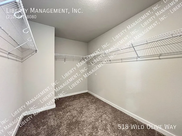 518 Wild Olive Way — Photo 19