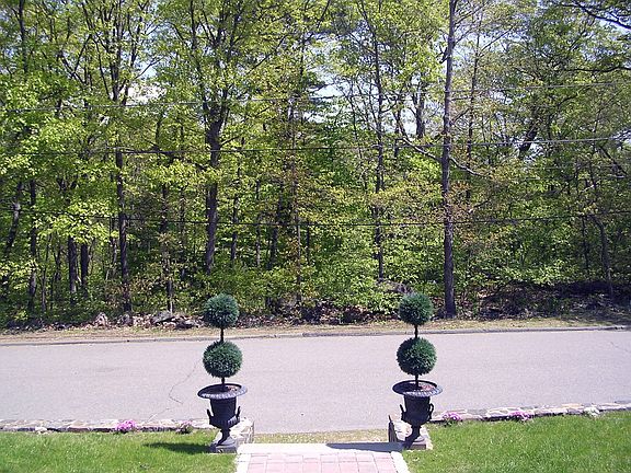 Conservation Land