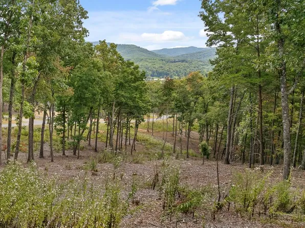 88 Split Creek Rd, Morganton, GA 30560